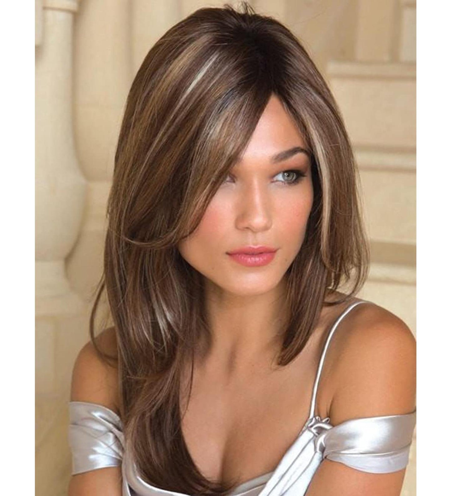 Brown Highlight Wig